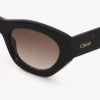 Gayia sunglasses