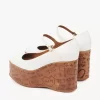 Maxime wedge pump