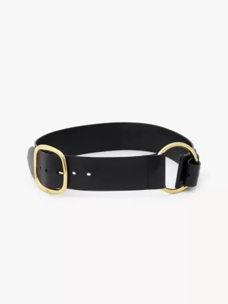 The Chloé Anita belt