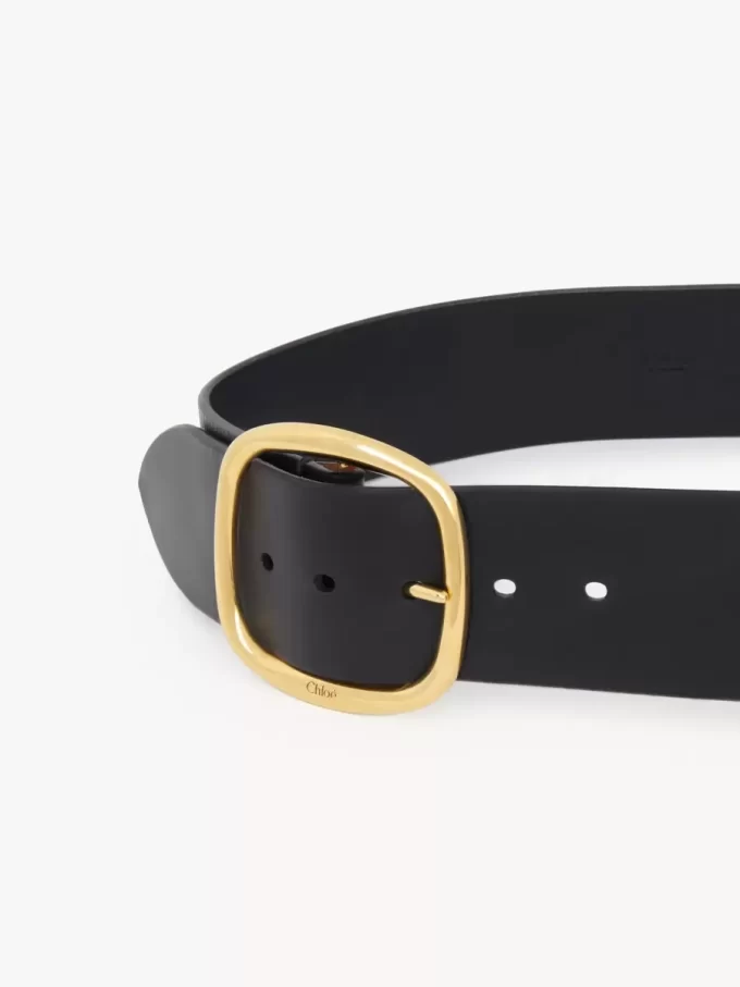 The Chloé Anita belt