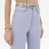 The Chloé Iconic belt