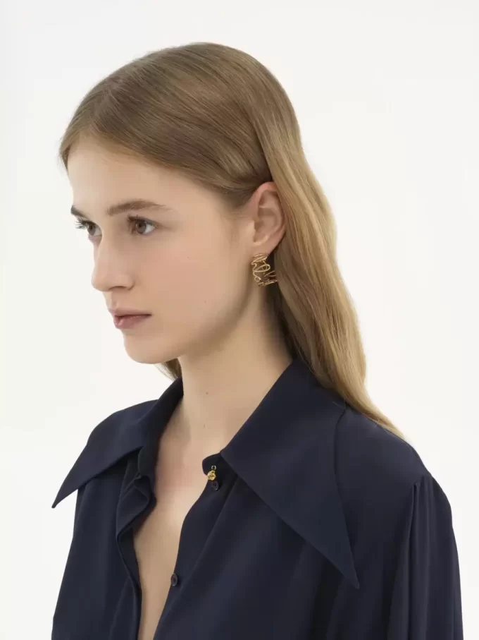 The Chloé Iconic hoop earrings