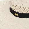The Chloé Panama hat in palm straw