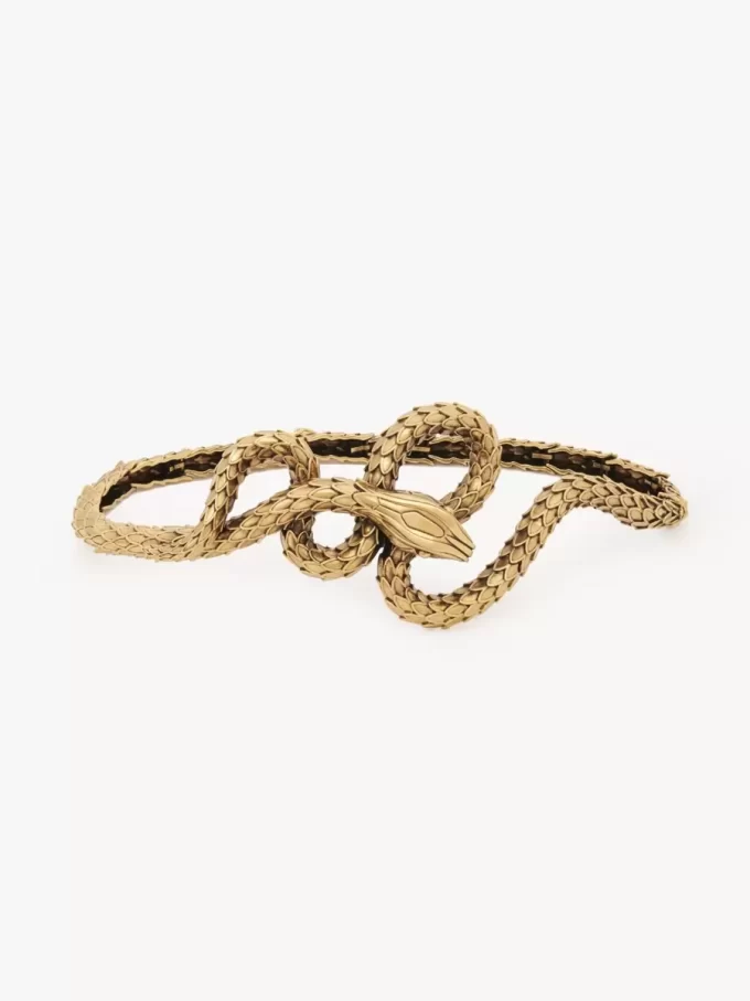 The Chloé Snake belt