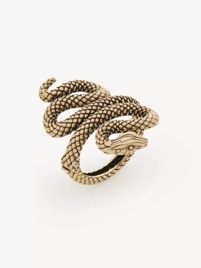 The Chloé Snake bracelet