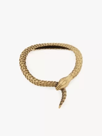 The Chloé Snake necklace