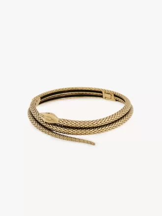 The Chloé Snake necklace
