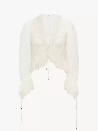 V-neck ruffle top in embroidered lace