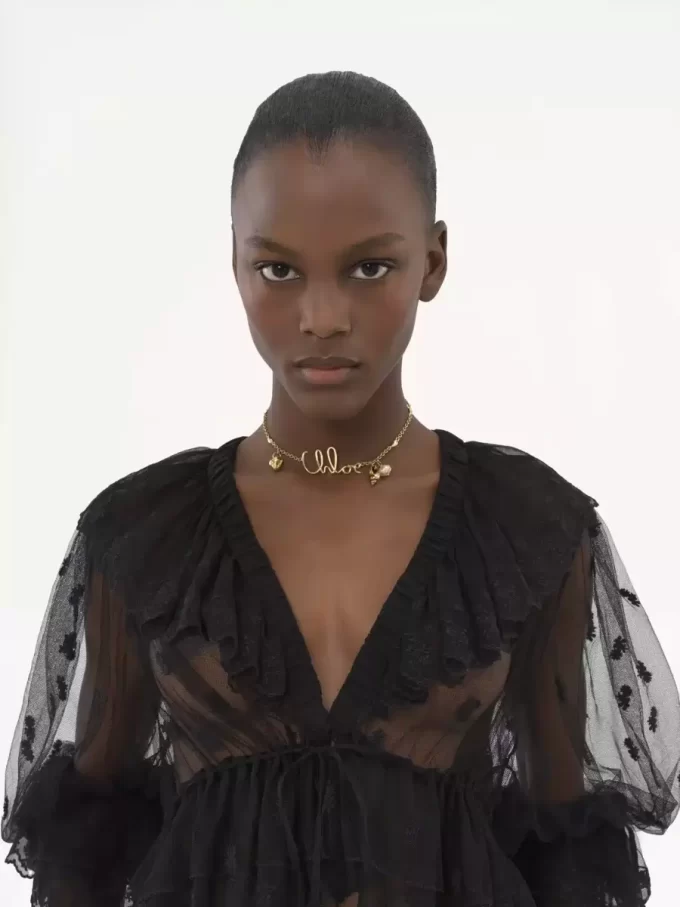 V-neck ruffle top in embroidered lace